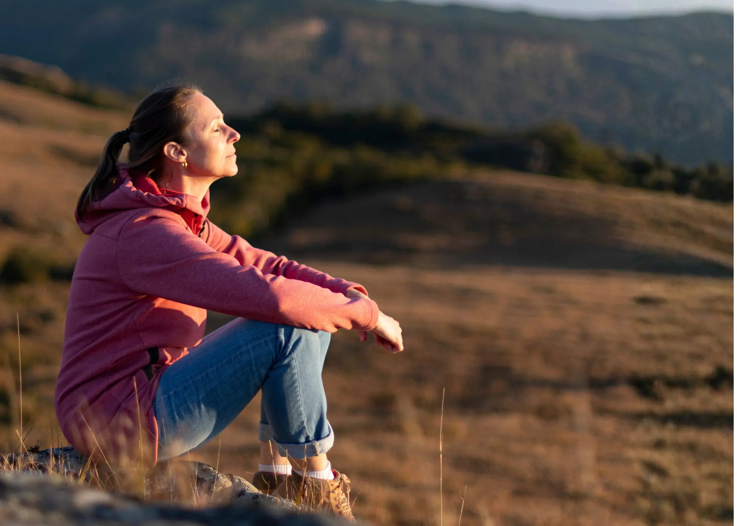 Person sitting on a rock in a field with mountains in the background