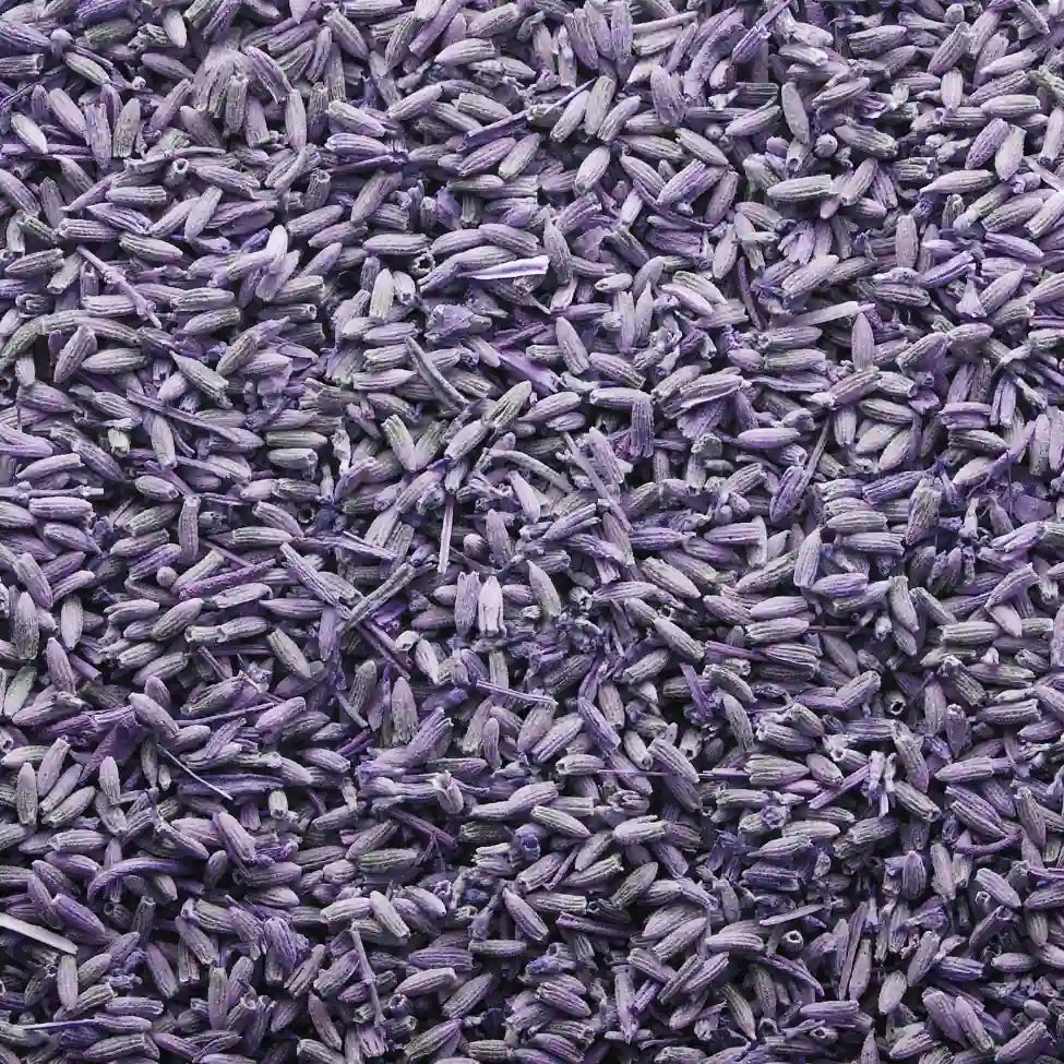 Close-up of dried lavender flowers.