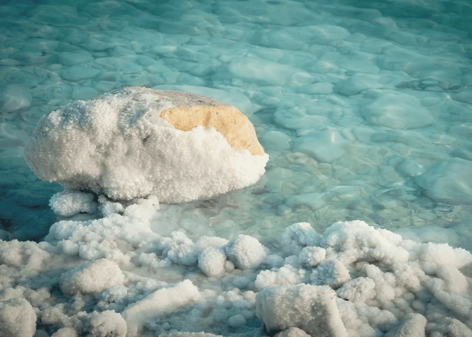 Dead Sea with salt-covered rocks and clear blue water
